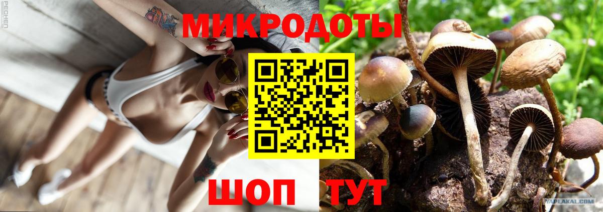магазин  наркотиков  Псилоцибиновые грибы Cubensis  Вход с VPN  Чернушка  Галлюциногенные грибы мицелий 